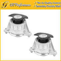 Hydraulic L & R Engine Mount 2PCS for Mercedes Benz C300 C350 E350 E400, RWD