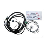 Hasport K-Series Wiring Subharness for 1999-2000 Honda Civic EKWK-2